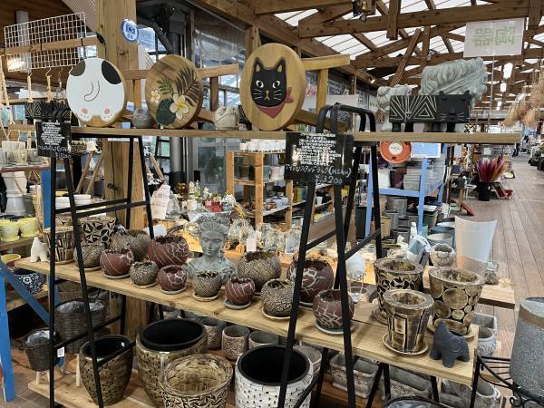 宮崎県都城市の園芸店「サンパーク都城」広々としたドライフラワーエリアが出現