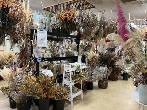 宮崎県都城市の園芸店「サンパーク都城」広々としたドライフラワーエリアが出現