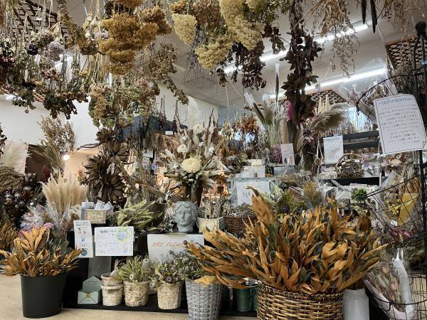 宮崎県都城市の園芸店「サンパーク都城」広々としたドライフラワーエリアが出現