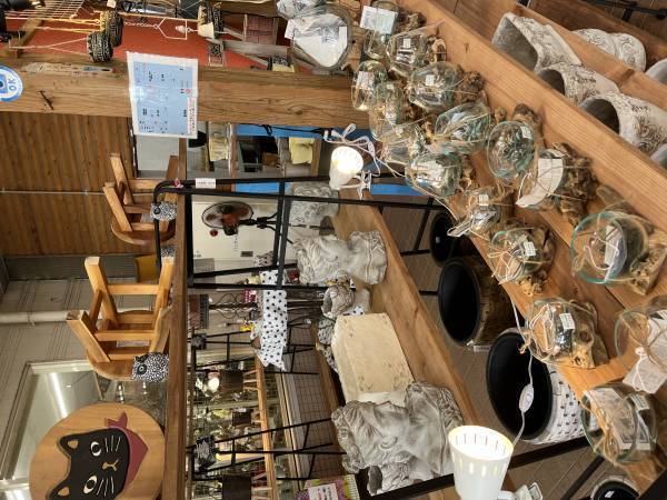 宮崎県都城市の園芸店「サンパーク都城」広々としたドライフラワーエリアが出現