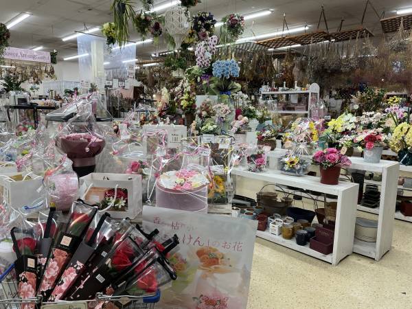 宮崎県都城市の園芸店「サンパーク都城」広々としたドライフラワーエリアが出現