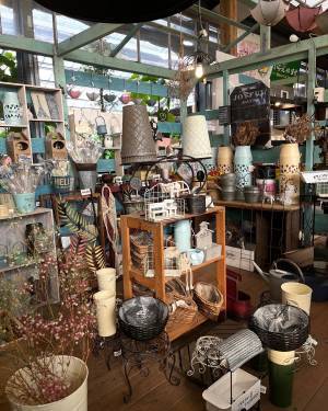 宮崎県都城市の園芸店「サンパーク都城」広々としたドライフラワーエリアが出現