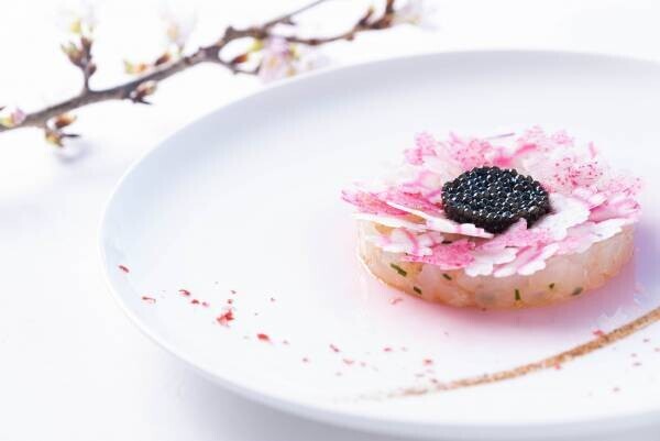 【ひらまつレストラン】お花見とともに楽しむ “桜”をイメージした『MENU SAKURA』今年も登場！ ～東京ミッドタウン「フィリップ・ミル 東京」～