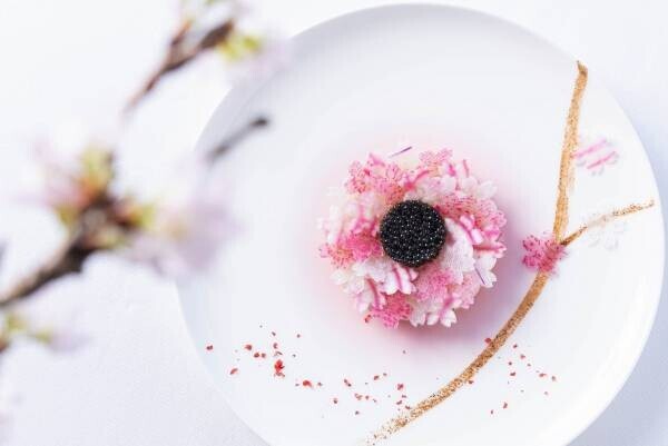 【ひらまつレストラン】お花見とともに楽しむ “桜”をイメージした『MENU SAKURA』今年も登場！ ～東京ミッドタウン「フィリップ・ミル 東京」～