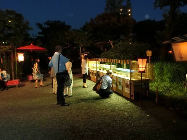 8月25日（木）～8月28日（日）向島百花園　伝統行事「虫ききの会」を開催！