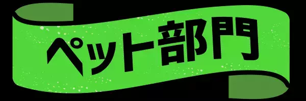 「2022年上半期ランキング」オーサムストアの人気部門4カテゴリーより、それぞれ”売れたBEST3”を発表！