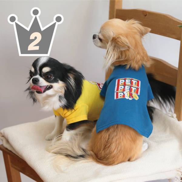 「2022年上半期ランキング」オーサムストアの人気部門4カテゴリーより、それぞれ”売れたBEST3”を発表！