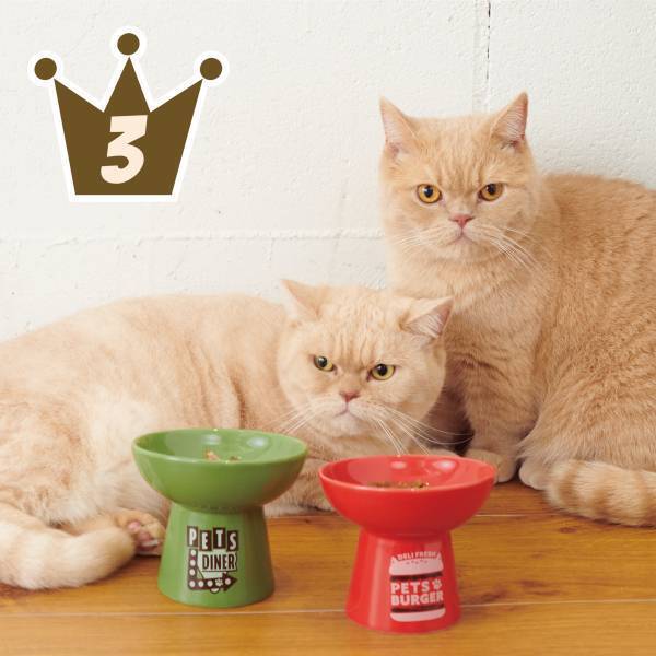 「2022年上半期ランキング」オーサムストアの人気部門4カテゴリーより、それぞれ”売れたBEST3”を発表！