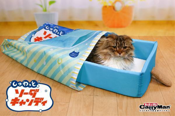 【ドギーマンハヤシ株式会社】『ステイホーム』で猫ちゃんと夏を楽しむ♪　猫ちゃんの夏専用ベッド『ひんにゃり　おやつタイム』シリーズが新発売！