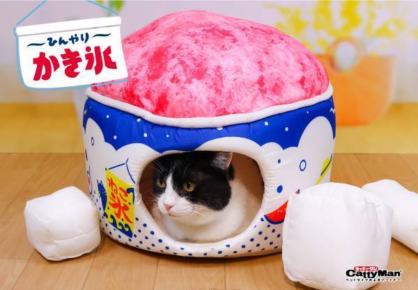 【ドギーマンハヤシ株式会社】『ステイホーム』で猫ちゃんと夏を楽しむ♪　猫ちゃんの夏専用ベッド『ひんにゃり　おやつタイム』シリーズが新発売！
