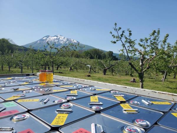 2022年採れたての蜂蜜をローハニー（生蜂蜜）で　 宮崎のれんげ、青森のりんごなど春を感じる4種類の新蜜が登場