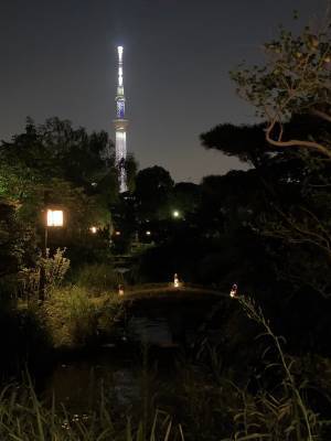 【いよいよ今週末開催！ 】向島百花園　3年ぶりの伝統行事『月見の会』9月9日(金)～9月11日(日)（９月７日情報追加）