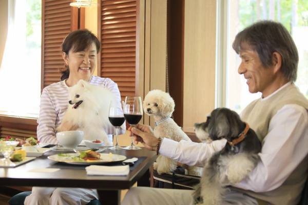 わんちゃん専用おせちプレゼント！ ＜年末年始限定＞愛犬と泊まれる温泉宿「ゆるり西伊豆」他4施設にて
