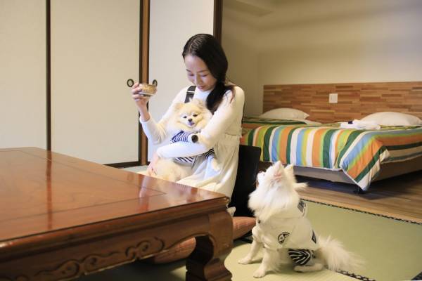 わんちゃん専用おせちプレゼント！ ＜年末年始限定＞愛犬と泊まれる温泉宿「ゆるり西伊豆」他4施設にて