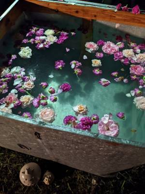 【花と焚火とお月見サウナ】射水市陶房「匠の里」お月見イベント開催