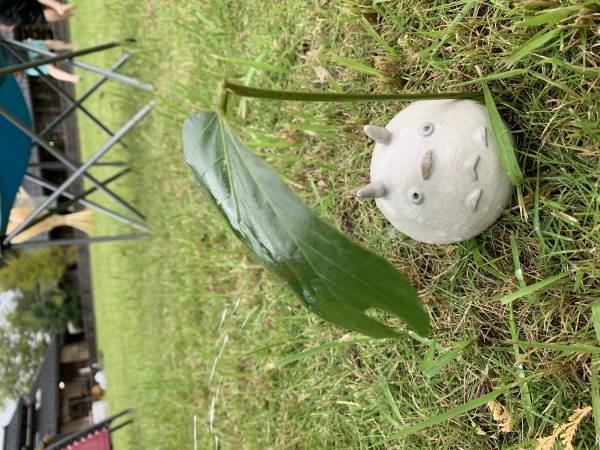 【花と焚火とお月見サウナ】射水市陶房「匠の里」お月見イベント開催