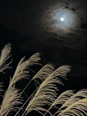 【花と焚火とお月見サウナ】射水市陶房「匠の里」お月見イベント開催