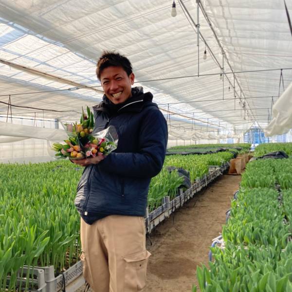 〈規格外チューリップ〉羽田空港でJALふるさと応援隊CAと生産者が無料配布！