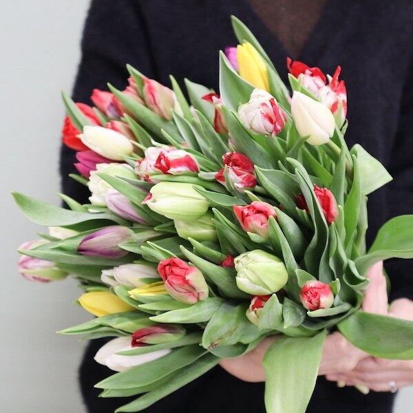 〈規格外チューリップ〉羽田空港でJALふるさと応援隊CAと生産者が無料配布！