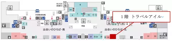 〈規格外チューリップ〉羽田空港でJALふるさと応援隊CAと生産者が無料配布！