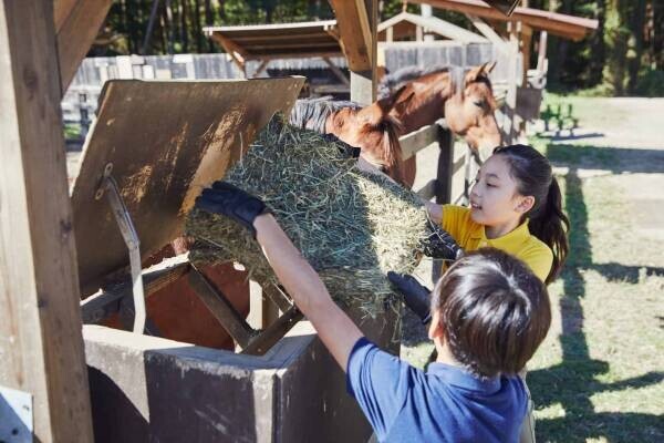 【リゾナーレ八ヶ岳】１泊２日で、馬のお世話をする「Horseman」の仕事を体験できるプログラムを開催｜実施日：2022年7月25日～8月29日の毎週月曜日