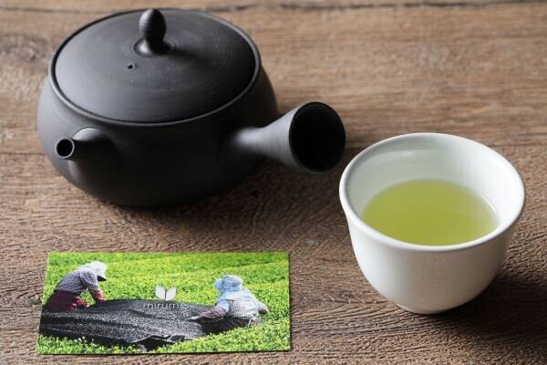 各メディアで話題の“mirume深緑茶房”とのコラボレーション実現！ 4種の日本茶を用いた料理長こだわりの絶品フレンチと、本格日本茶を心ゆくまで堪能！ 『“日本茶×フレンチ” コラボレーションコース』販売