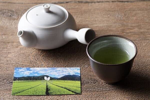 各メディアで話題の“mirume深緑茶房”とのコラボレーション実現！ 4種の日本茶を用いた料理長こだわりの絶品フレンチと、本格日本茶を心ゆくまで堪能！ 『“日本茶×フレンチ” コラボレーションコース』販売