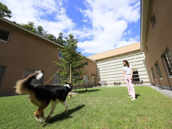 ＜期間限定＞部屋食プランでわんちゃん無料キャンペーン ご飯の時もずーっと一緒！愛犬とお得なおこもり旅しよう