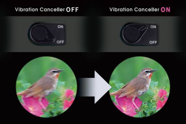 感動の視野。さらに進化した"ATERA（アテラ）Ⅱ防振双眼鏡シリーズ" 第1弾「ATERAII H12×30（チャコール）」を5月31日（火）に発売