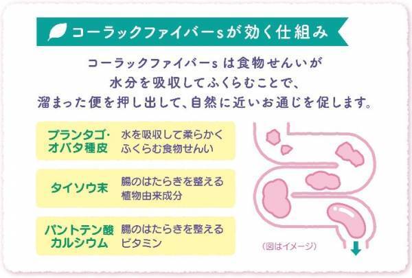 食物繊維で自然に近いお通じを「コーラックファイバーｓ」新発売！
