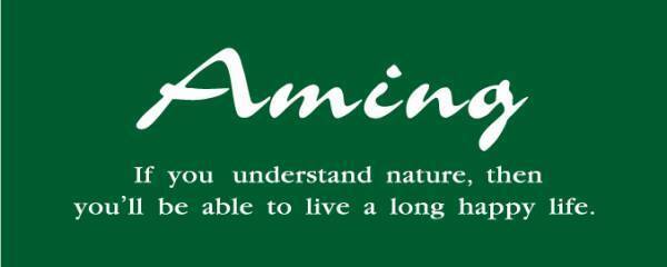 【取扱店舗拡大】高橋愛プロデュースコスメ『Aimmx（アイムミクス）アイシャドウパレット 』アミング6店舗で新規取扱開始！