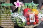 春が盛りだくさん！ 産地直送通販サイト「ＪＡタウン」で鹿児島県産“春の野菜セット”を販売開始！