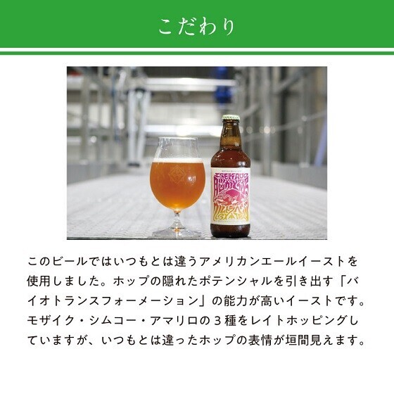 ビール界のオスカー最高賞受賞ビール『脳とろ』発売中