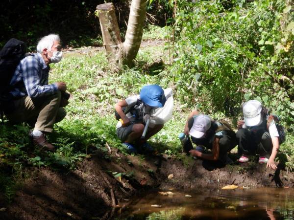 小山内裏公園「秋の昆虫観察会」９月18日（日）