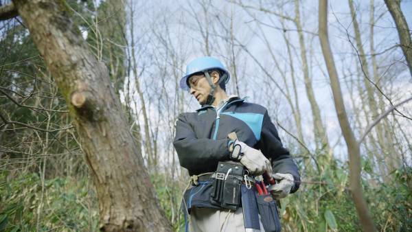 【YouTube公開】新潟県の森林紹介ムービー　“Forest Lovers NIIGATA”　第二弾が公開スタート