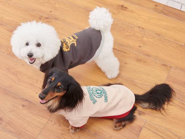 オリジナルのペットグッズ「#036PETS（オーサムペッツ）」シリーズ2022年秋冬新作アイテムが順次入荷中！！