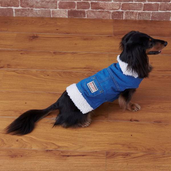 オリジナルのペットグッズ「#036PETS（オーサムペッツ）」シリーズ2022年秋冬新作アイテムが順次入荷中！！