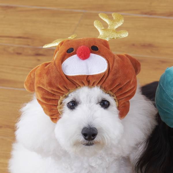 オリジナルのペットグッズ「#036PETS（オーサムペッツ）」シリーズ2022年秋冬新作アイテムが順次入荷中！！