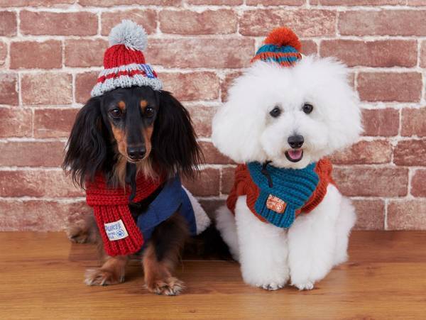 オリジナルのペットグッズ「#036PETS（オーサムペッツ）」シリーズ2022年秋冬新作アイテムが順次入荷中！！