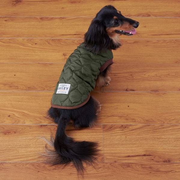 オリジナルのペットグッズ「#036PETS（オーサムペッツ）」シリーズ2022年秋冬新作アイテムが順次入荷中！！