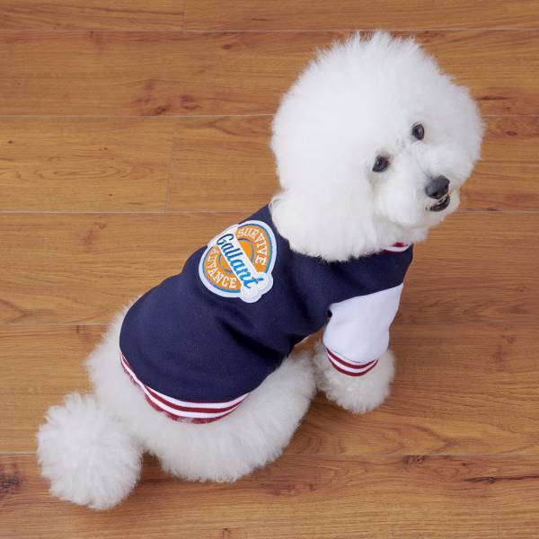 オリジナルのペットグッズ「#036PETS（オーサムペッツ）」シリーズ2022年秋冬新作アイテムが順次入荷中！！