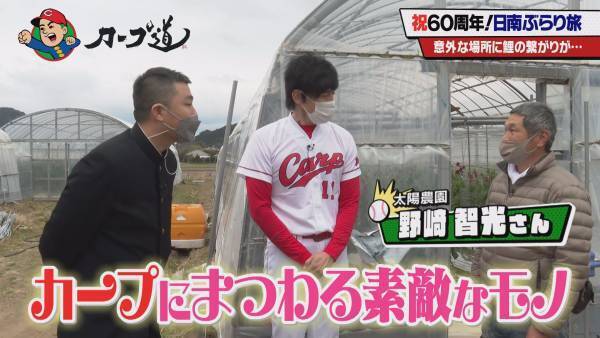 カープキャンプ60周年 日南めぐり後編