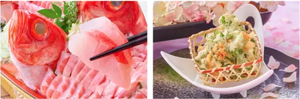 真冬に花咲く土肥桜を楽しむ 一足早い春を訪ねて、大江戸温泉物語 土肥マリンホテルで楽しむ早春の旅