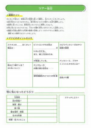 【学研キッズネット×JTBマナビ旅】今年の夏は‟非日常体験”を自由研究に！
