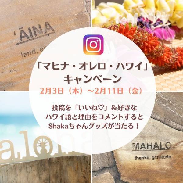 ハワイ州観光局、2月にハワイ語のプロモーションキャンペーンを実施