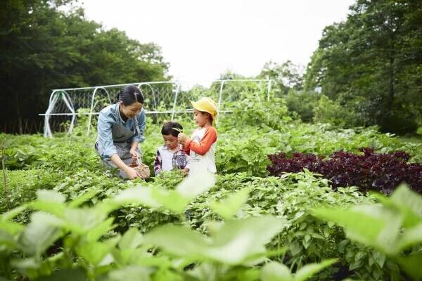 【リゾナーレ那須】星野リゾート　リゾナーレとカゴメによる野菜摂取推進プロジェクト第三弾 8月31日は野菜の日！リゾナーレ那須×カゴメによる野菜づくしの祭典「ベジフェス」開催｜開催日：2022年8月31日～9月1日（１泊2日）