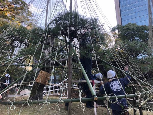 小石川後楽園「深山紅葉を楽しむ」今週末から開催 / 2022年11月18日～12月4日