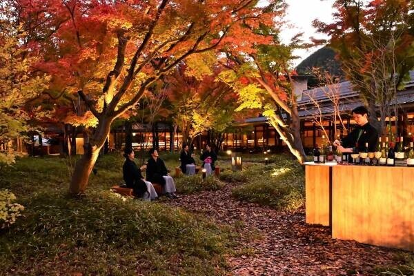 【界 鬼怒川】紅葉が色づく中庭で、栃木県にちなんだおつまみとワイナリーで造られたワインを楽しめる「湯上がり紅葉ワインバー」期間限定オープン｜期間：2022年11月1日～11月21日