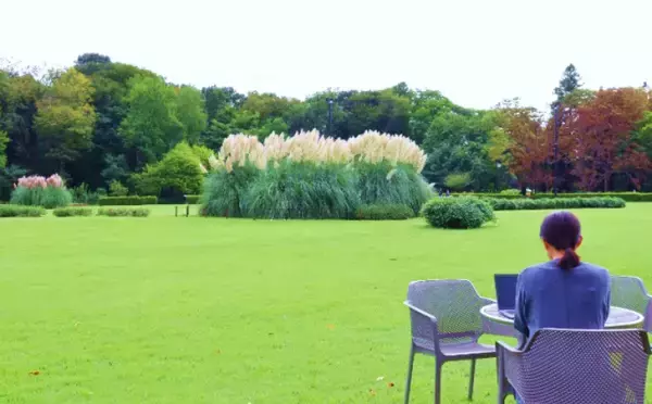 10/3更新【募集を締め切りました】【神代植物公園テレワークの利用環境に関するモニター募集】 四季折々の花や緑を眺めながら、テレワークのできる環境が拡大しました！