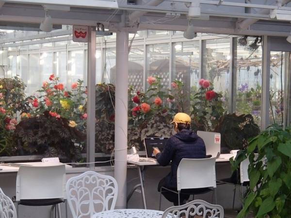 10/3更新【募集を締め切りました】【神代植物公園テレワークの利用環境に関するモニター募集】 四季折々の花や緑を眺めながら、テレワークのできる環境が拡大しました！